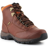 Ariat  Berwick lace GTX Insulated 10016298  women's Mid Boots in Brown