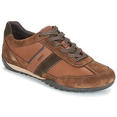 Geox  U WELLS  men's Shoes (Trainers) in Brown
