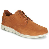 Timberland  BRADSTREET OXFORD  men's Shoes (Trainers) in Brown
